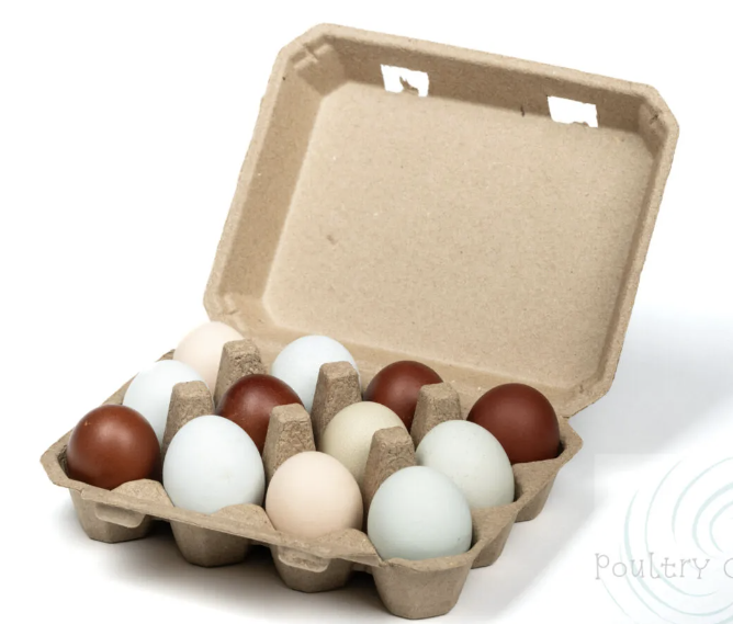 “Egg carton. It is just about perfect for the job. Sure it had a couple improvements since 1911, but the form factor we still recognize today all over the World is from 1931 (I think, I may be mistaken on the year or related patent).” —buraconaestrada